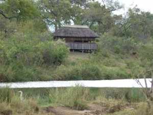 Ondertussen hebben we, om de stille dag in het Krugerpark enigszins te compenseren, een overnachting in de Shipandane-sleep-over-hide gereserveerd. hide Kruger - Marjo, 13 oktober 2012 121