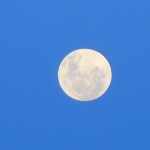 Niet alleen overdag maar vooral ook 's nachts, wanneer de maan, de hoogste van alle Krugerpark highlights, aan een echt donkere hemel - zonder lichtvervuiling - staat. Fred II Kruger 2012 514