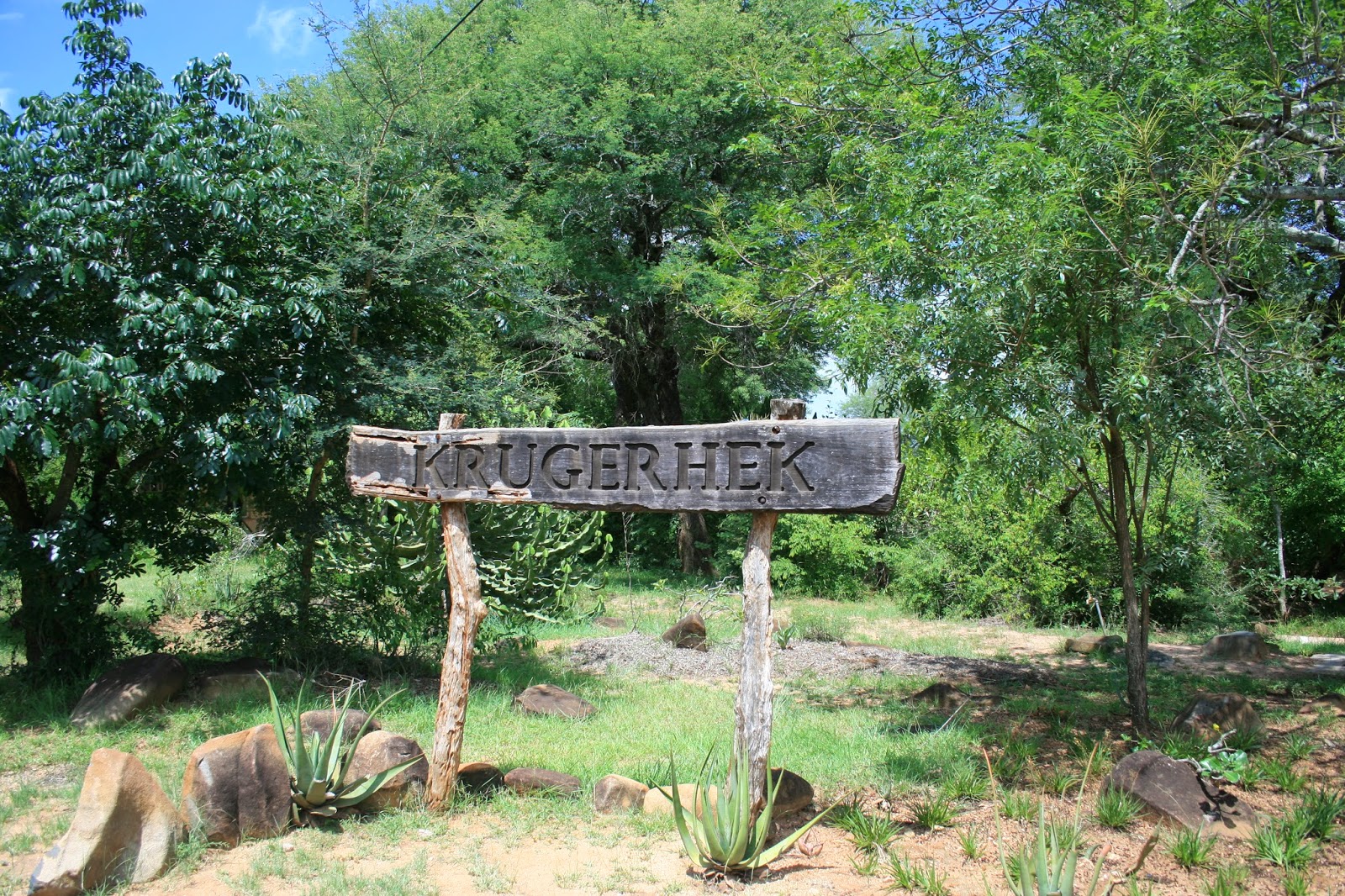 Geschiedenis van het Krugerpark - President Paul Kruger had in 1898 de vooruitziende blik om het Sabie Wildreservaat in leven te roepen.