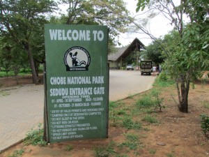 Chobe National Parc Wildlife Afrika Chobe National Park